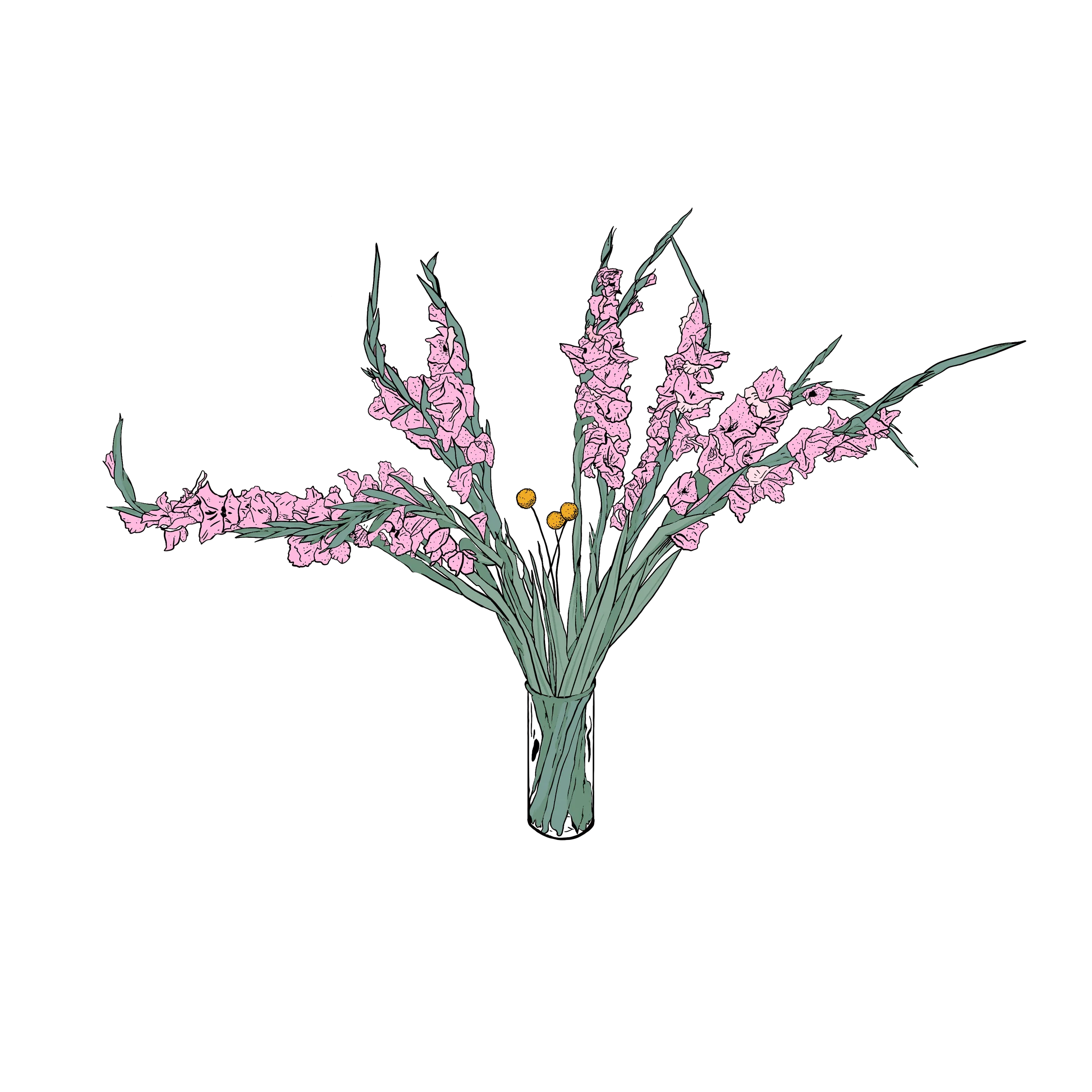 Flower illustration